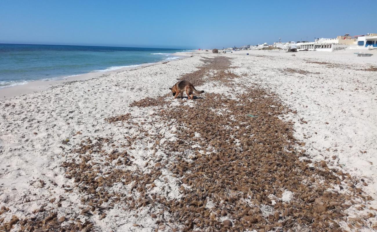 Photo de EL Mrigueb Beach II avec sable fin et lumineux de surface