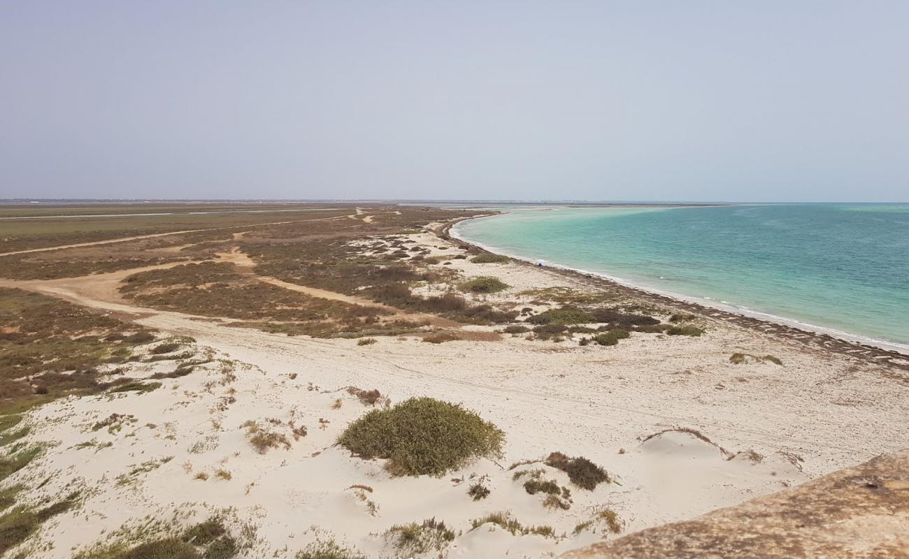 Photo de Zarziskite Sarl II avec sable blanc de surface