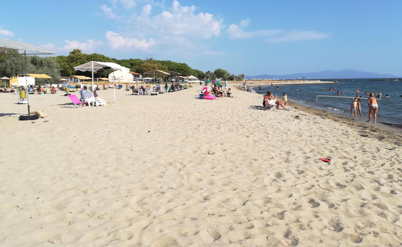 Photo de Professors beach avec sable lumineux de surface