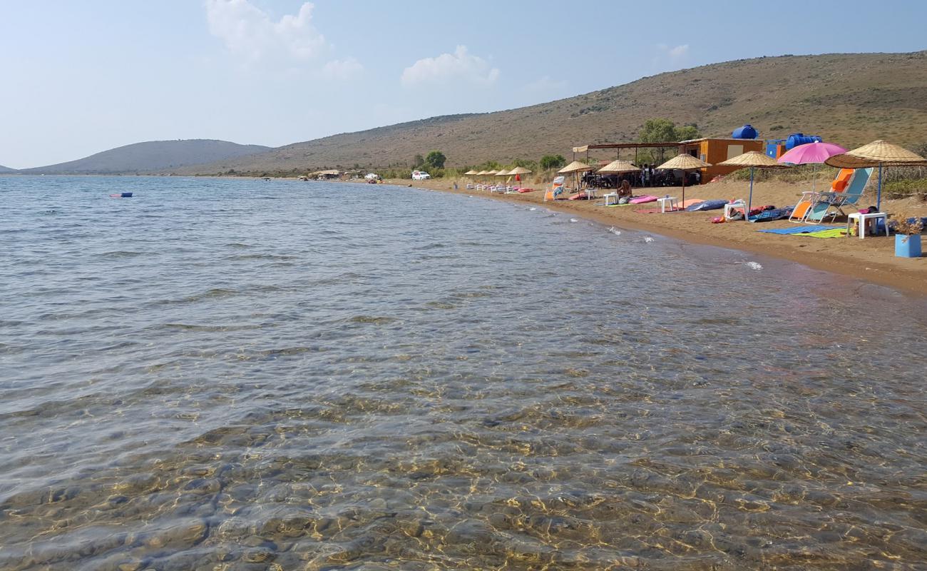 Photo de Alibey beach avec sable noir avec caillou de surface