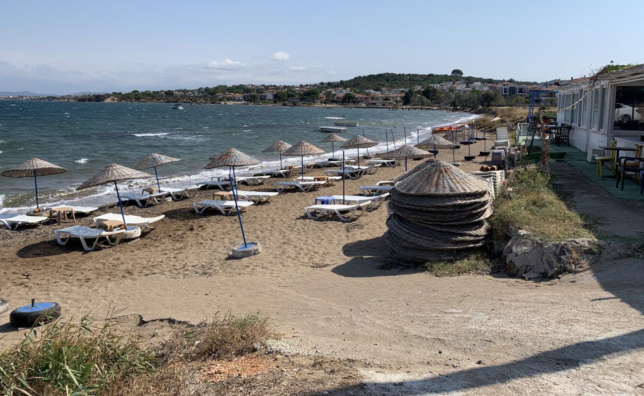 Photo de Ayvalik Igdeli beach avec sable lumineux de surface