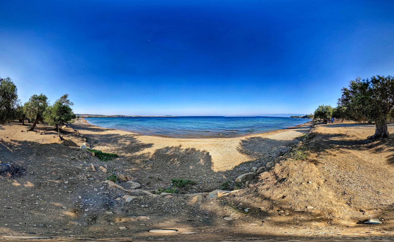 Photo de Altinyol Bay avec sable noir avec caillou de surface