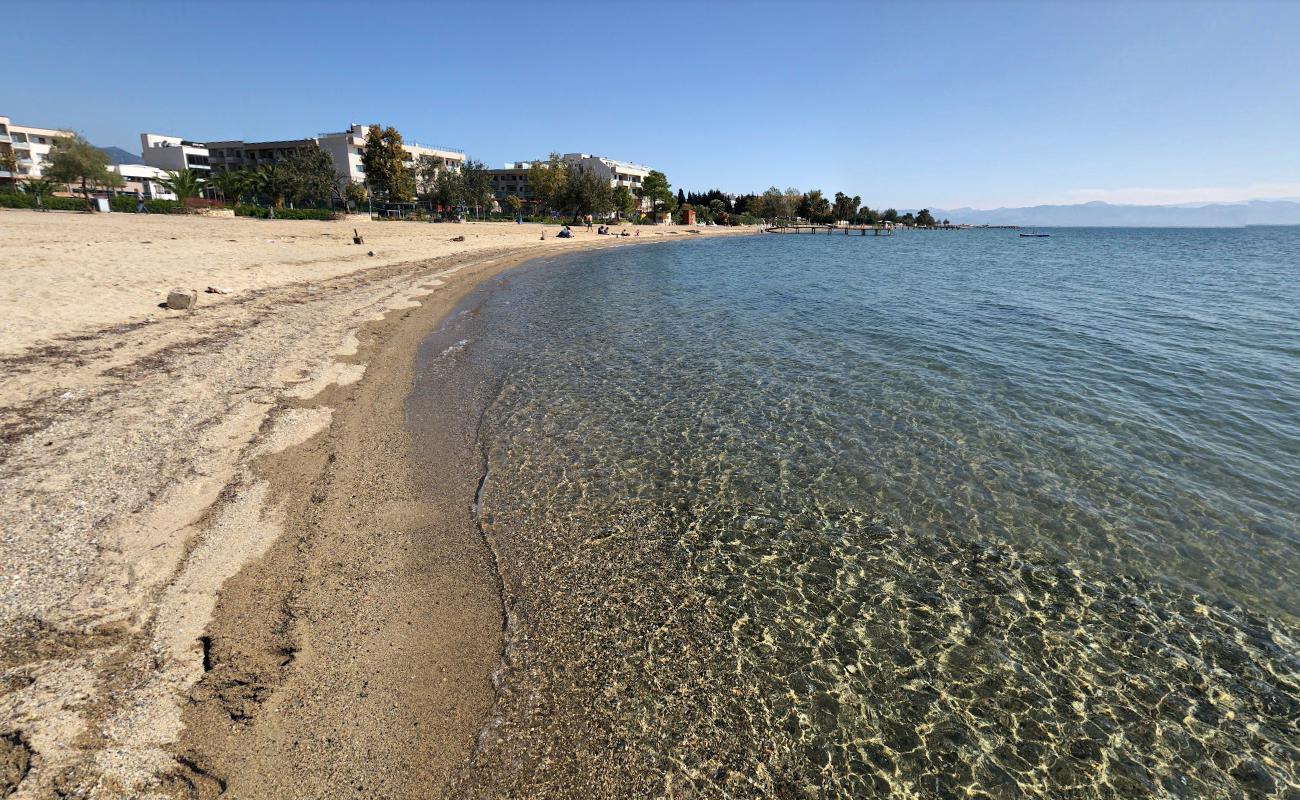 Photo de Palmera beach et le règlement