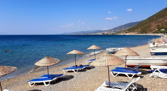 Sardunya beach
