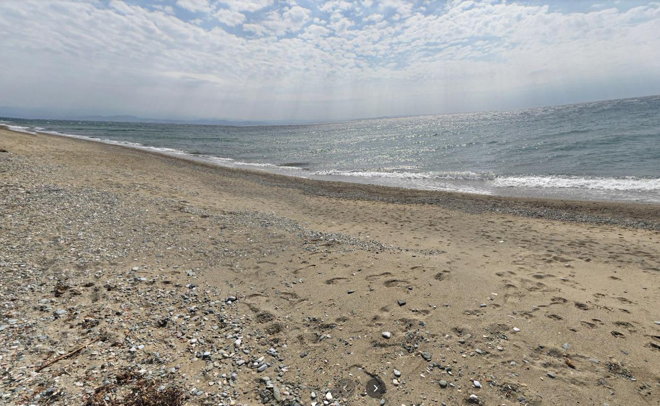 Photo de Sardunya beach et le règlement