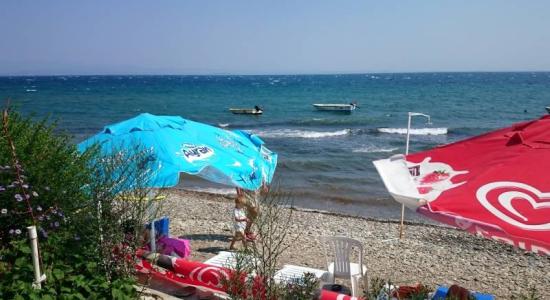 Elit beach
