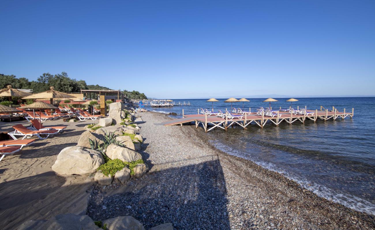 Photo de Assos Club beach avec caillou clair de surface