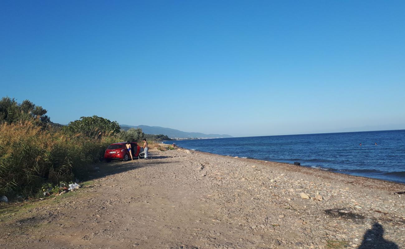 Photo de Assos Free beach avec caillou clair de surface