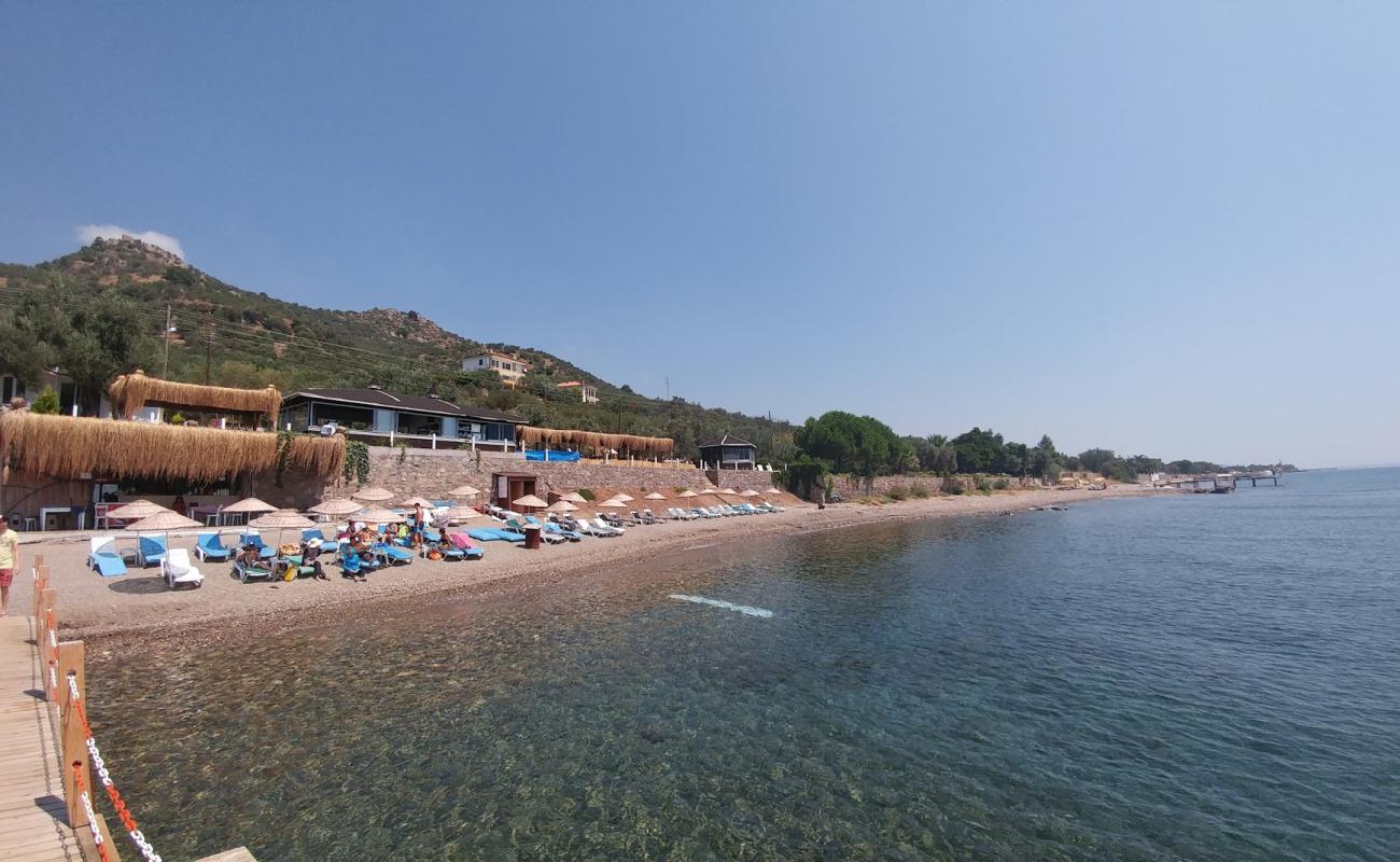 Photo de Kotti beach avec sable clair avec caillou de surface