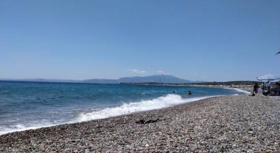 Galley beach