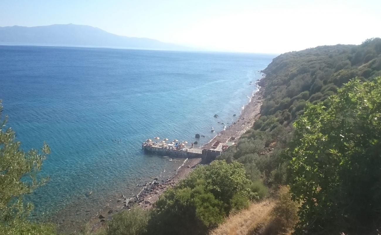 Photo de Sivrice beach avec roches de surface