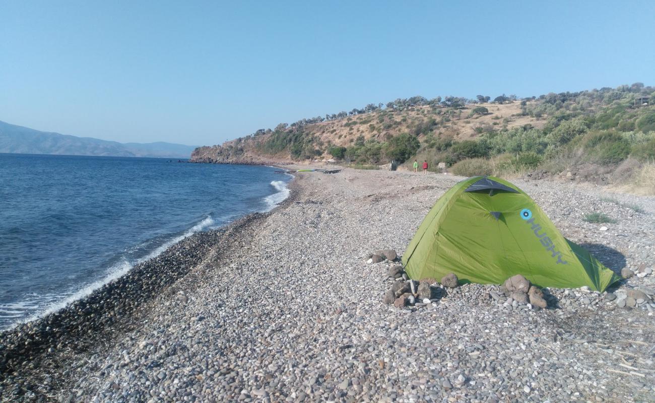 Photo de Kaldera-Assos beach avec caillou clair de surface