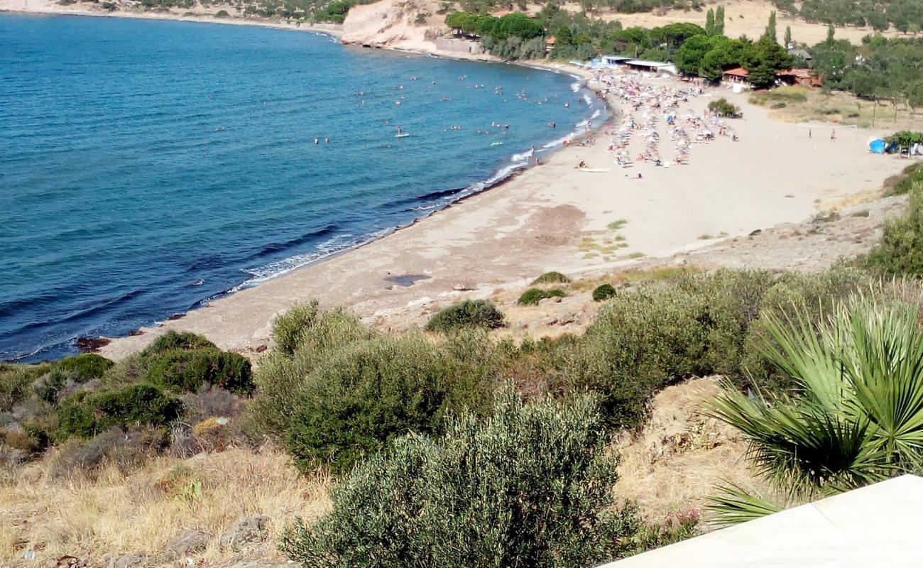 Photo de Akliman beach avec sable lumineux de surface