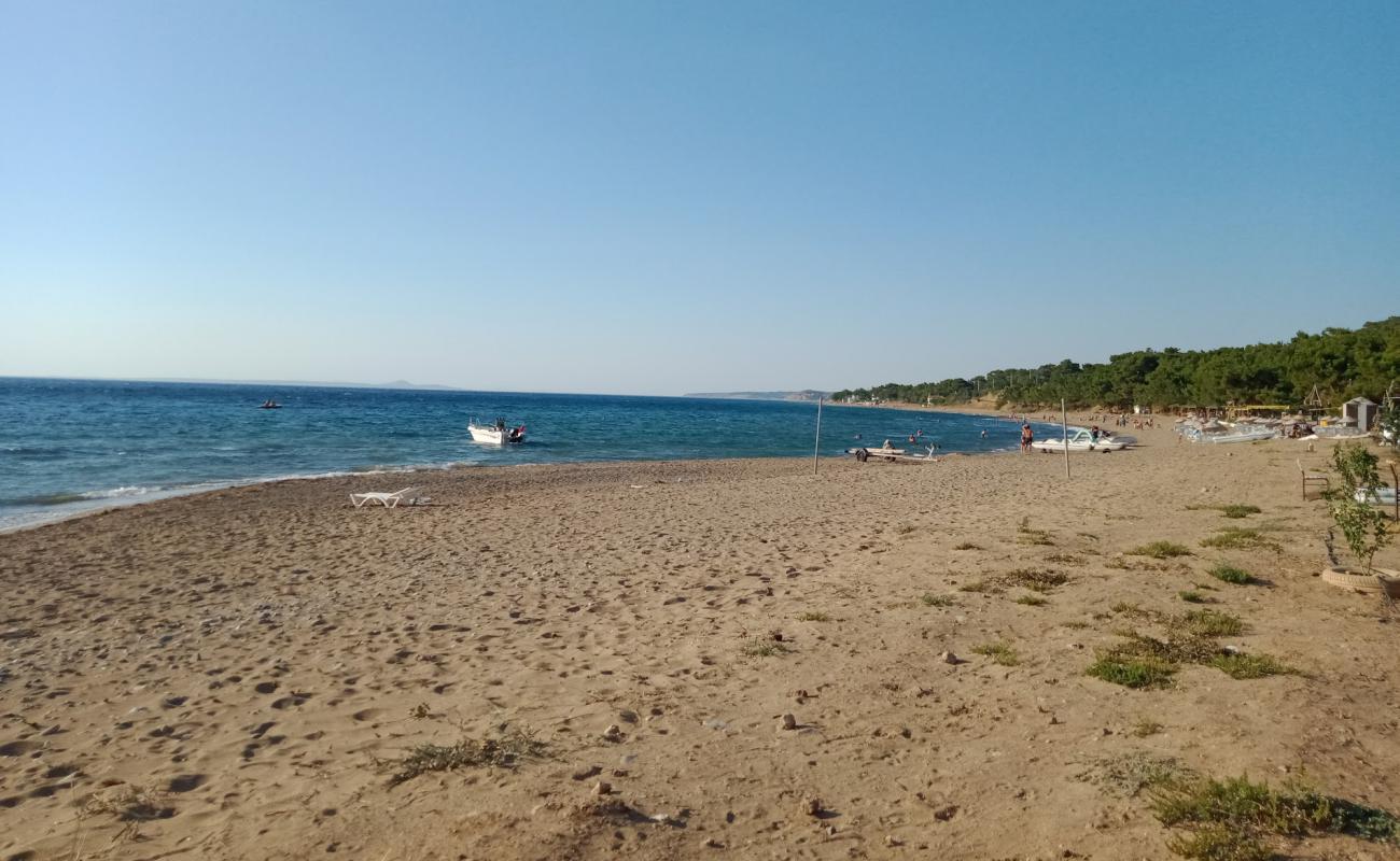 Photo de Camlik Camp beach avec sable lumineux de surface