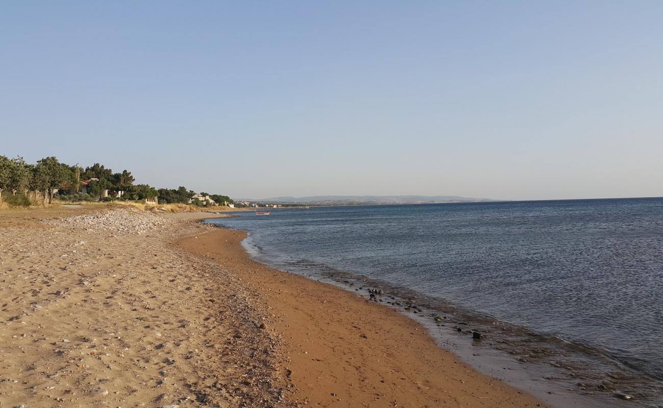 Photo de Agora Camp beach avec sable clair avec caillou de surface