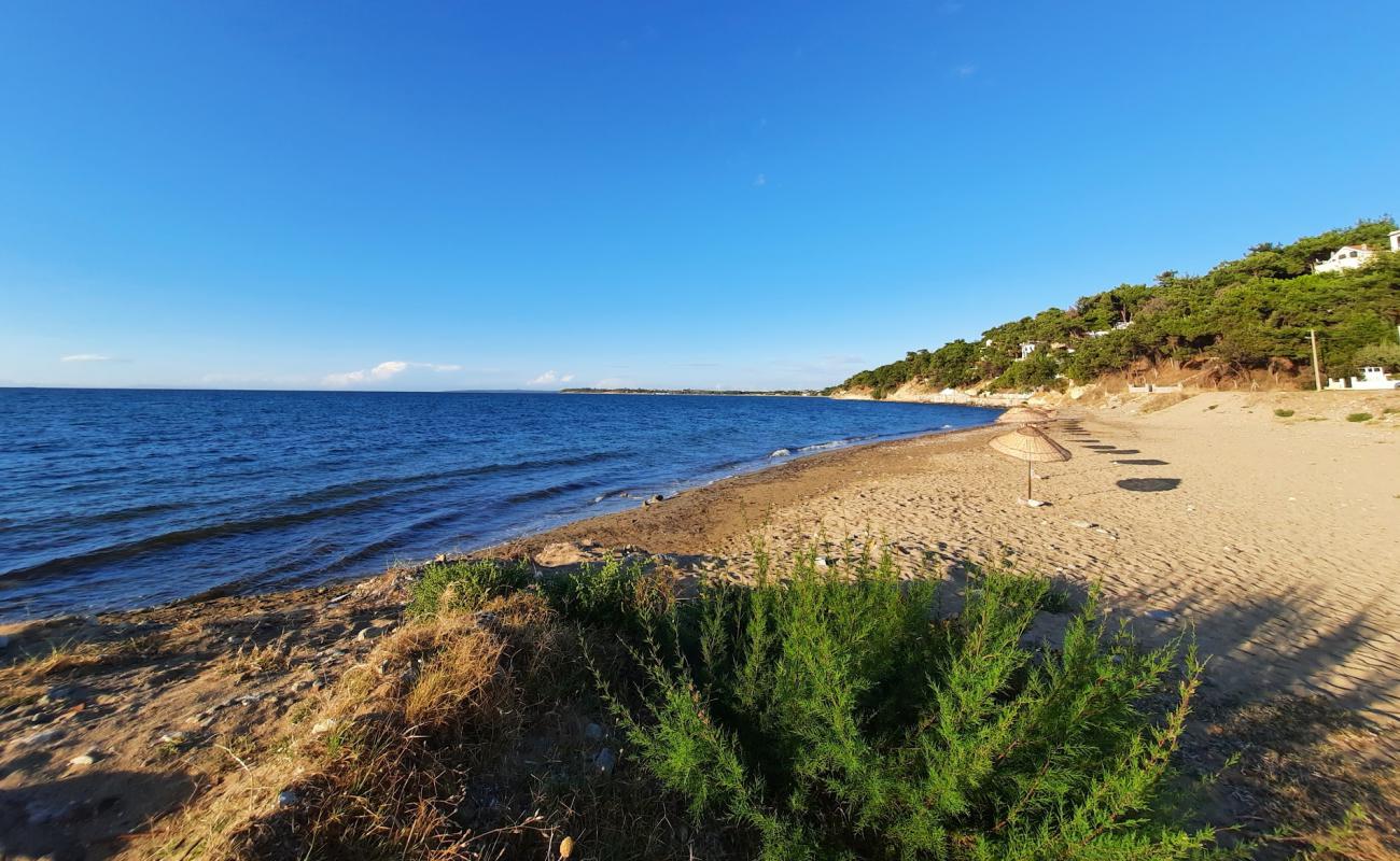 Photo de Gunestepe beach avec sable brillant et rochers de surface