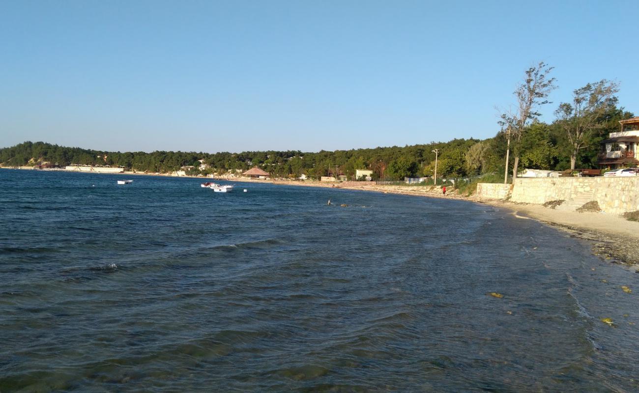 Photo de Pamira park beach avec sable clair avec caillou de surface