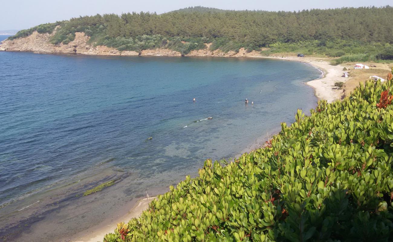 Photo de Tripce beach avec sable clair avec caillou de surface