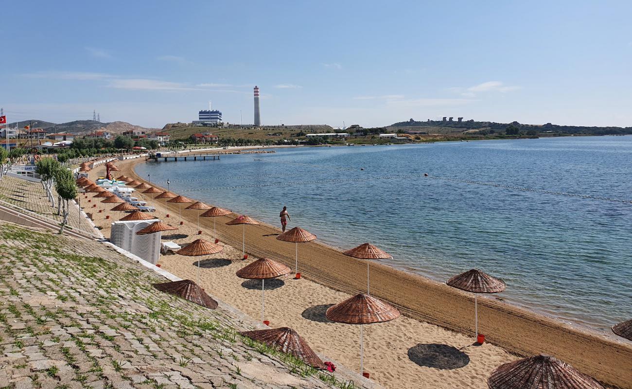 Photo de Ladies Bath beach avec caillou fin clair de surface