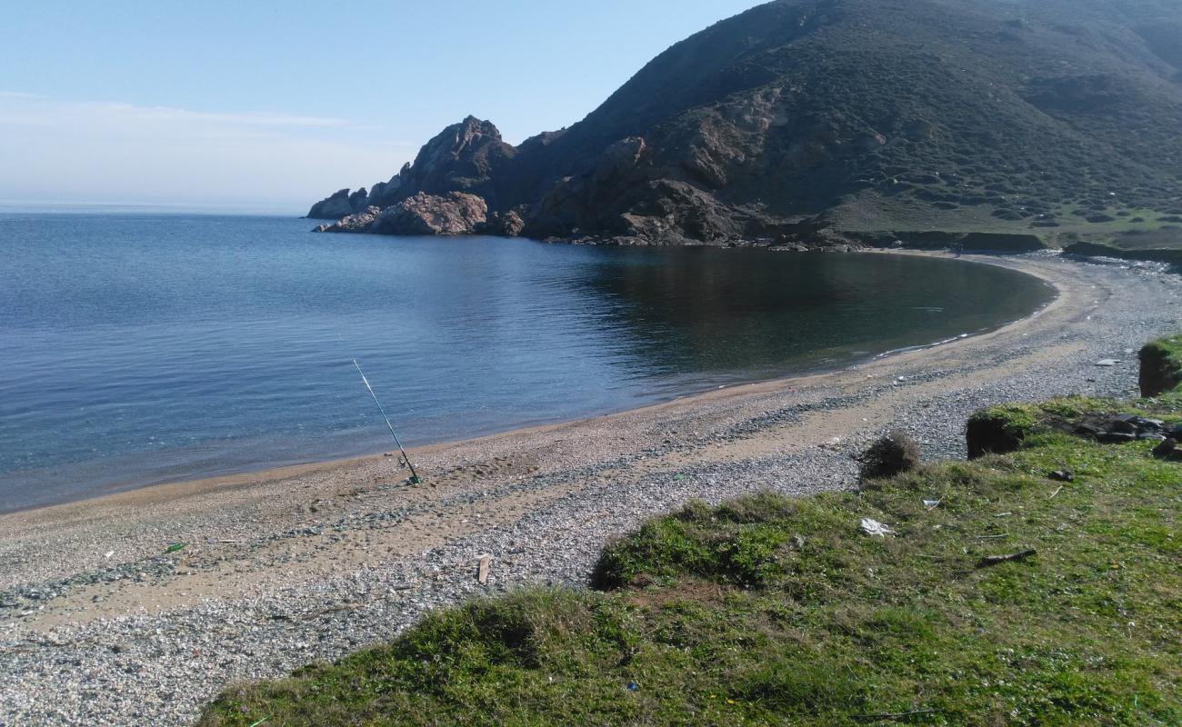 Photo de Kalamaki beach avec sable gris avec caillou de surface