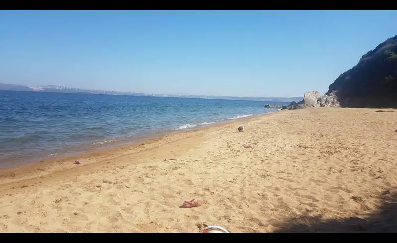 Photo de Tanasa Sahil beach avec sable brun de surface