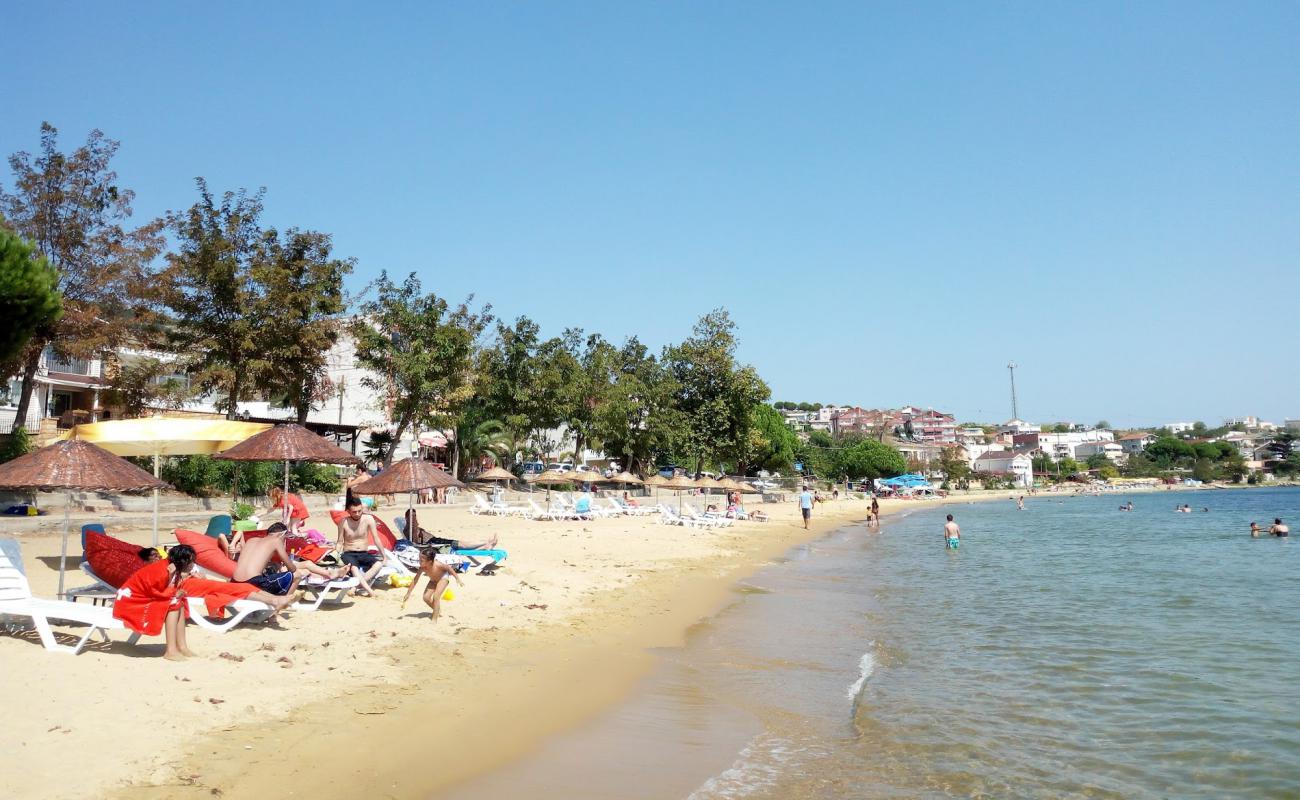 Photo de Tatlisu beach II avec sable brun de surface