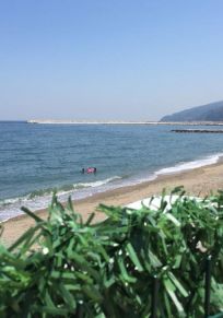 Kursunlu