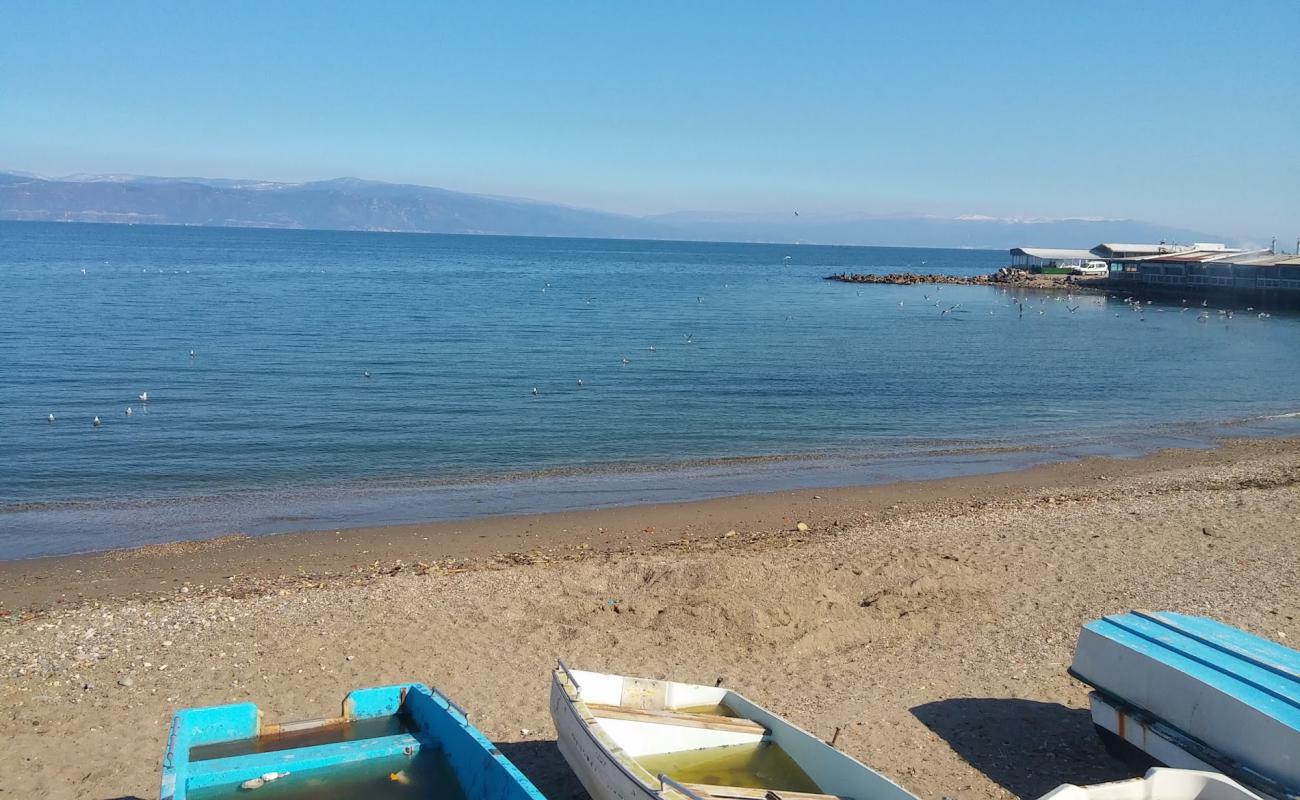 Photo de Child Park beach avec sable brun de surface
