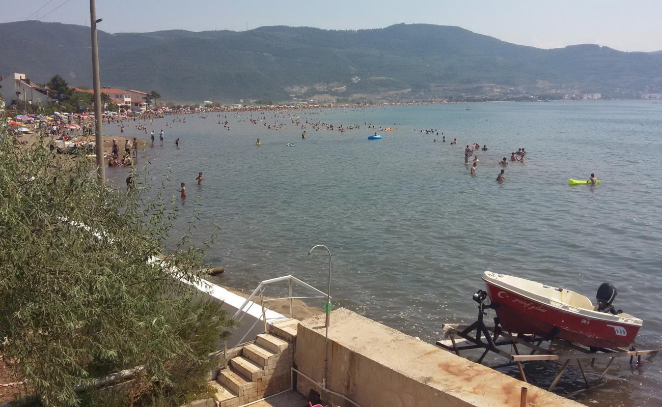 Photo de Kumsaz beach avec petits galets beige de surface