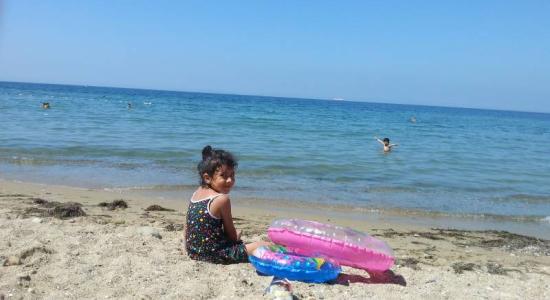 Cinarcik Liman Cd.