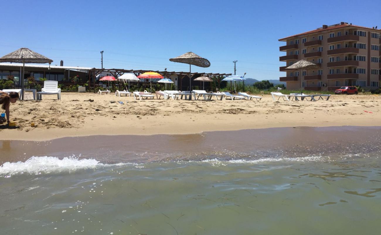 Photo de Akraba beach avec sable brun de surface