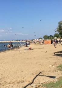 Yalova