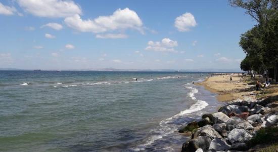Arastirma beach