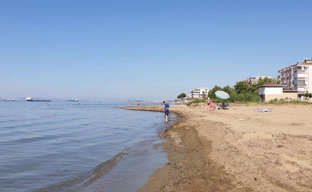 Photo de Dejavu beach avec sable brun de surface
