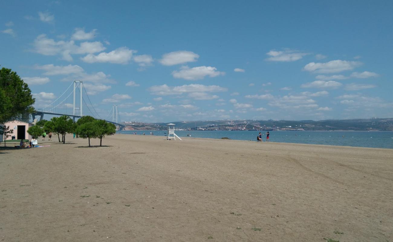 Photo de Altinova Hersek beach avec sable brun de surface