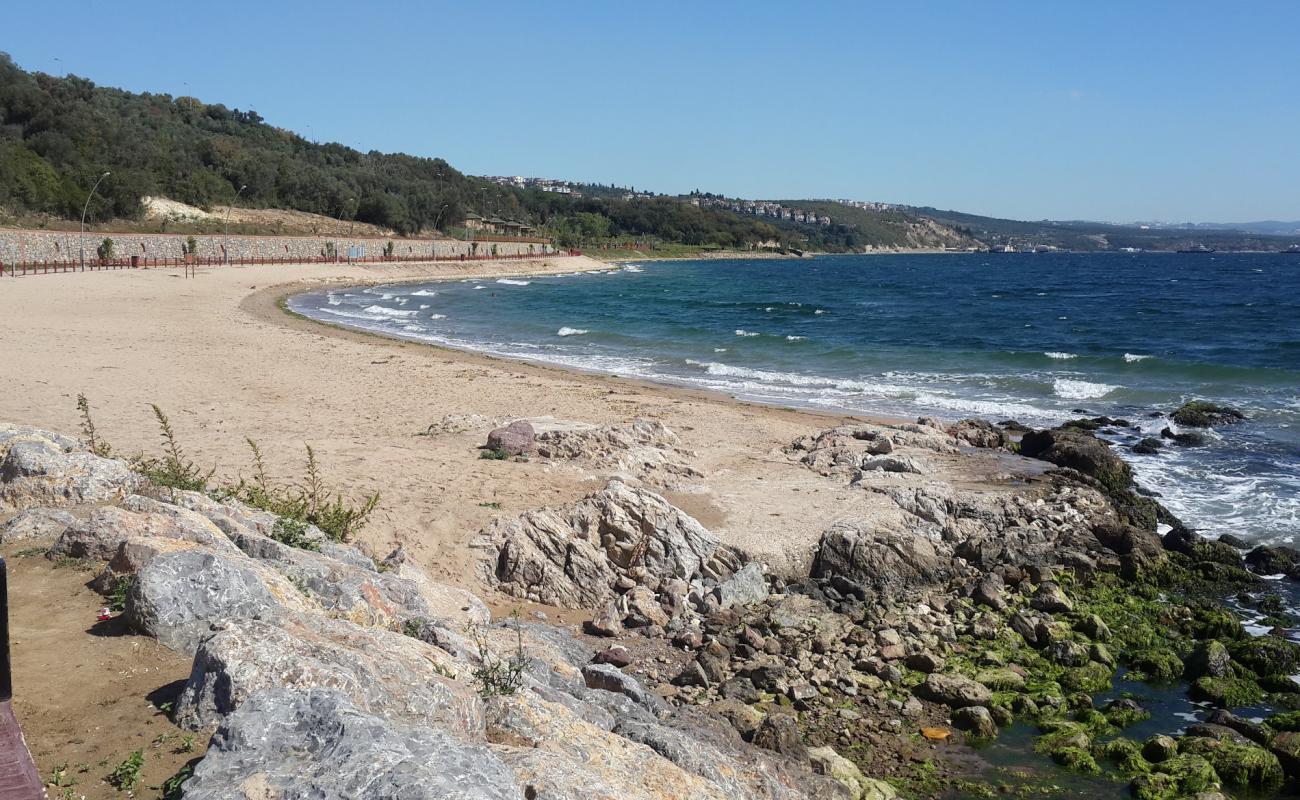 Photo de Darica beach avec sable brun de surface