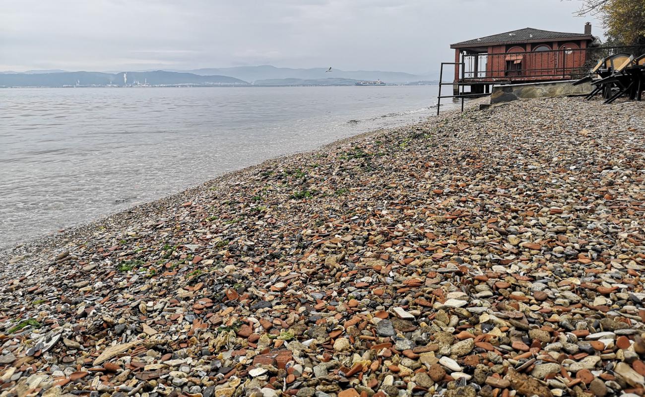Photo de Darica beach II avec galets bruns de surface