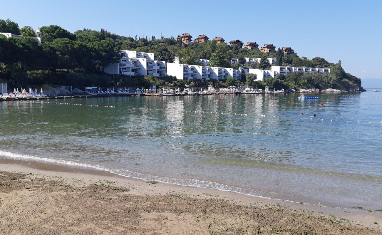Photo de Darica beach IV avec sable brun de surface