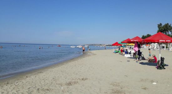 Ohri beach