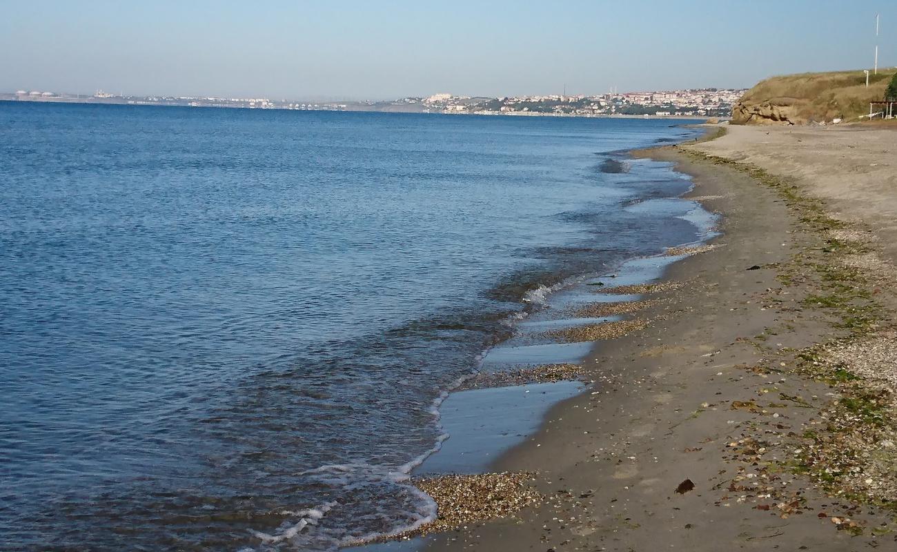 Photo de Balaban beach avec sable brun de surface