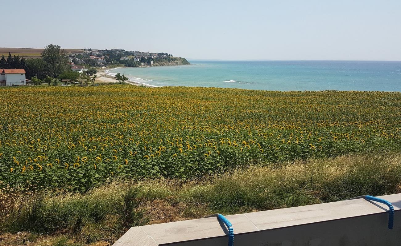 Photo de Hurriyet beach avec sable clair avec caillou de surface