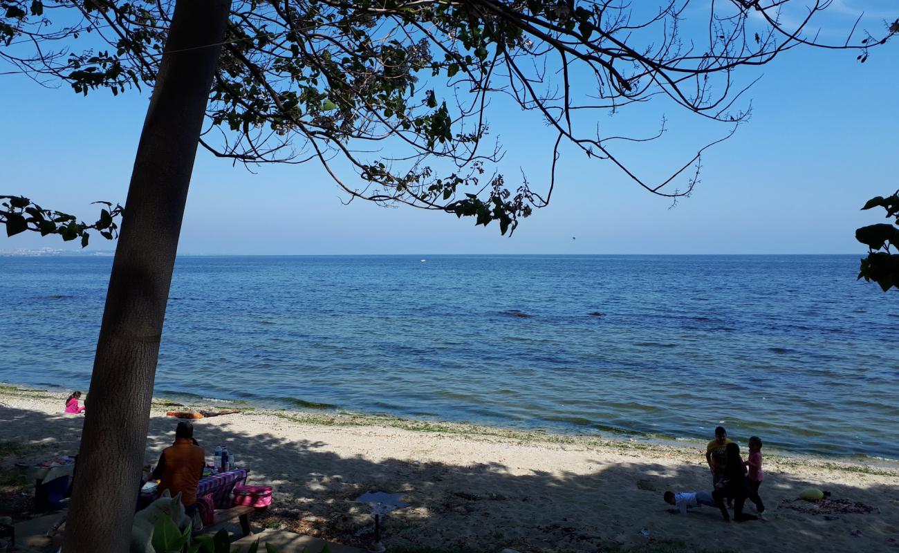 Photo de Topagac beach avec sable beige de surface