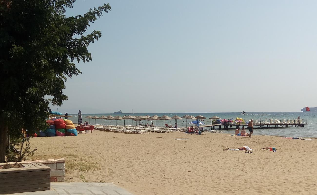 Photo de Sarkoy beach II avec sable brun de surface