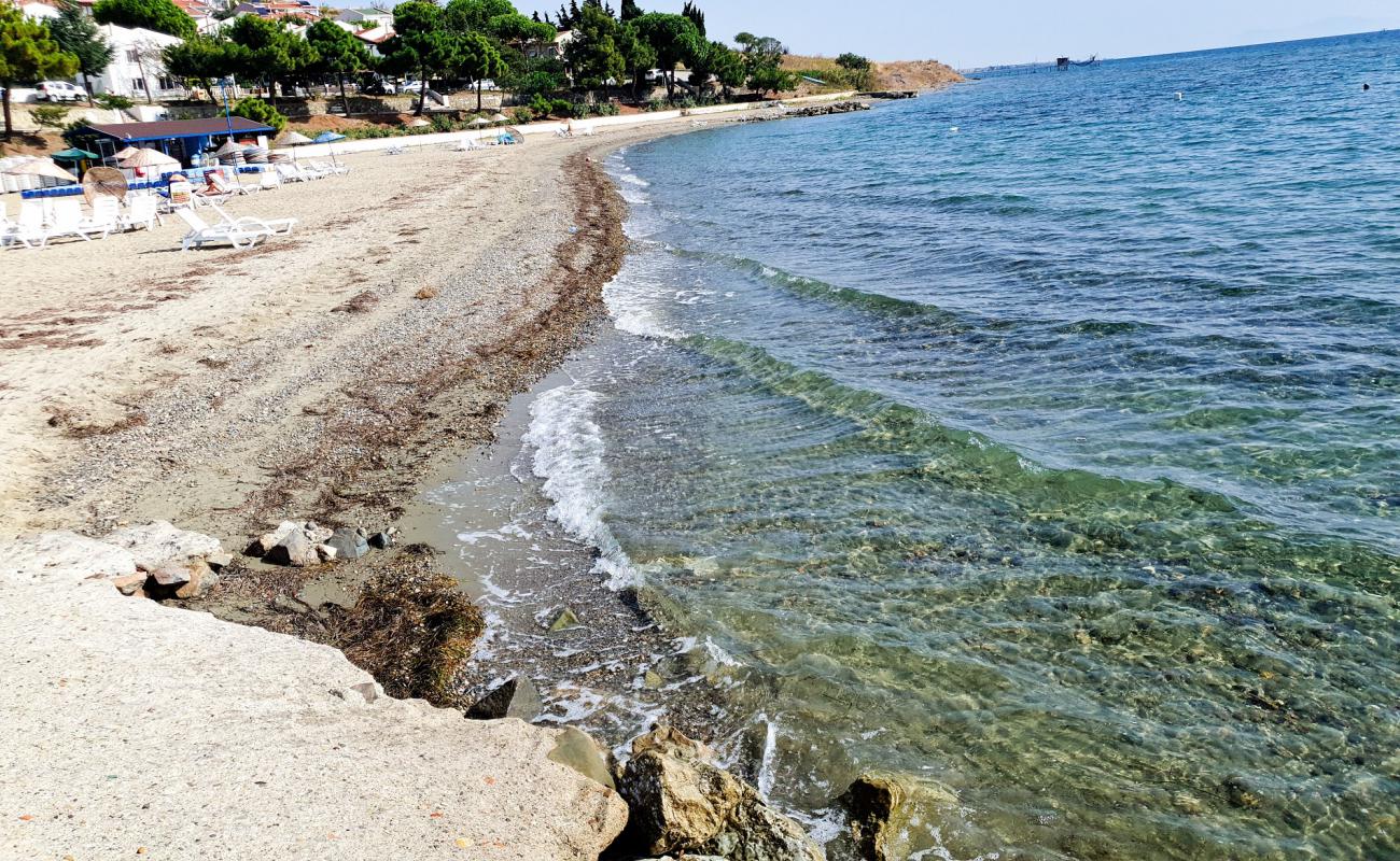 Photo de Senkoy beach avec sable brun de surface