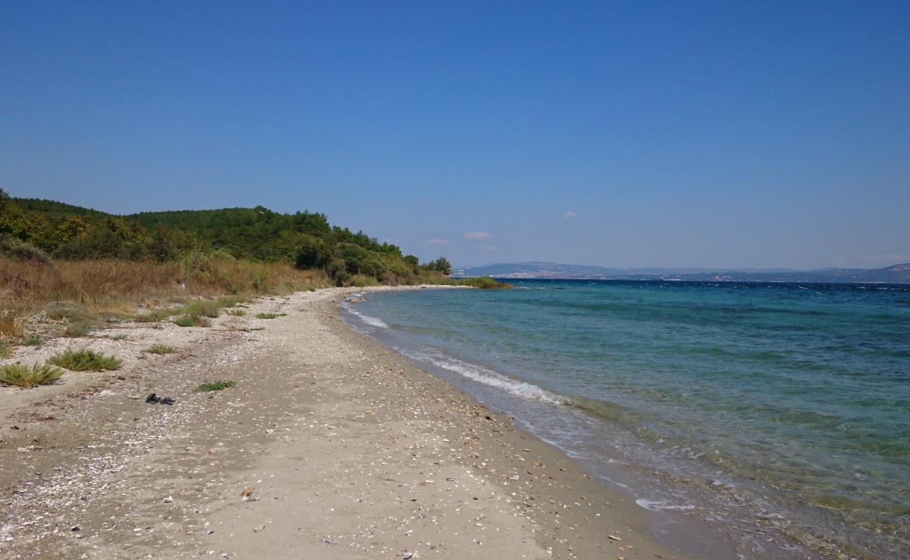 Photo de Alcitepe beach avec sable noir avec caillou de surface