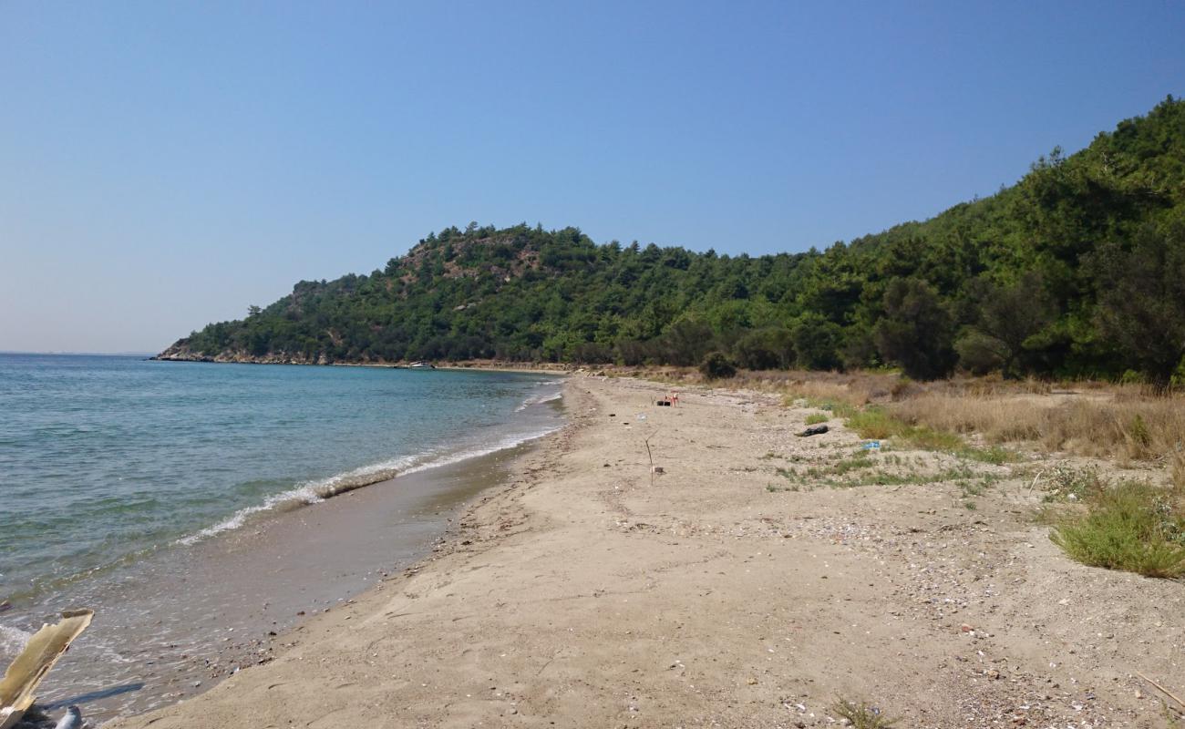 Photo de Alcitepe beach II avec sable brun de surface