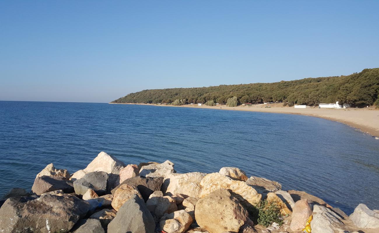 Photo de Erikli beach III avec sable fin et lumineux de surface