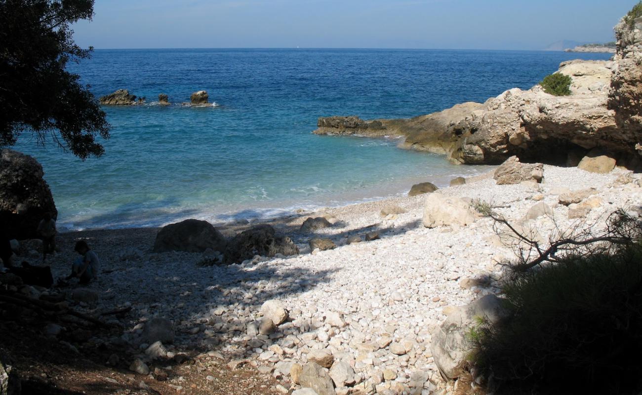 Photo de Kalabantia avec galets blancs de surface
