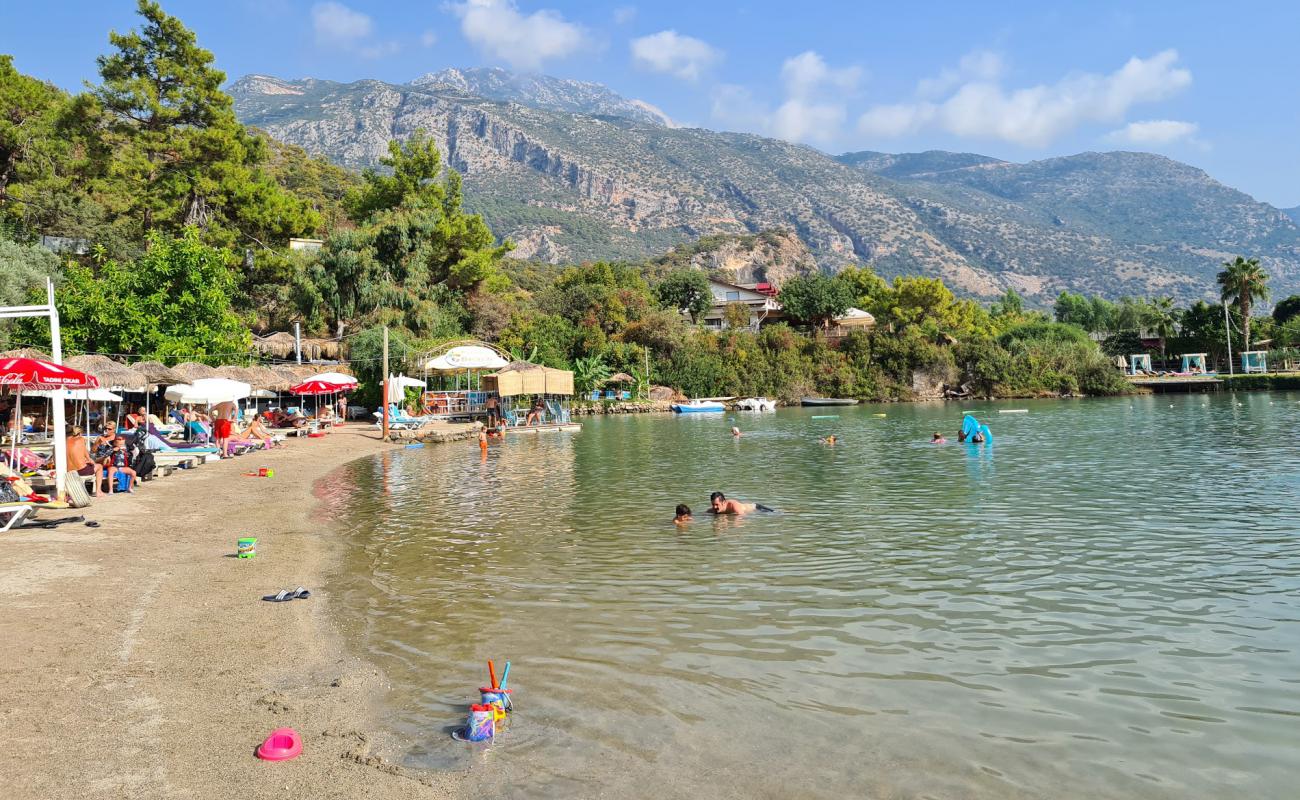 Photo de Plage de Billy avec sable fin brun de surface