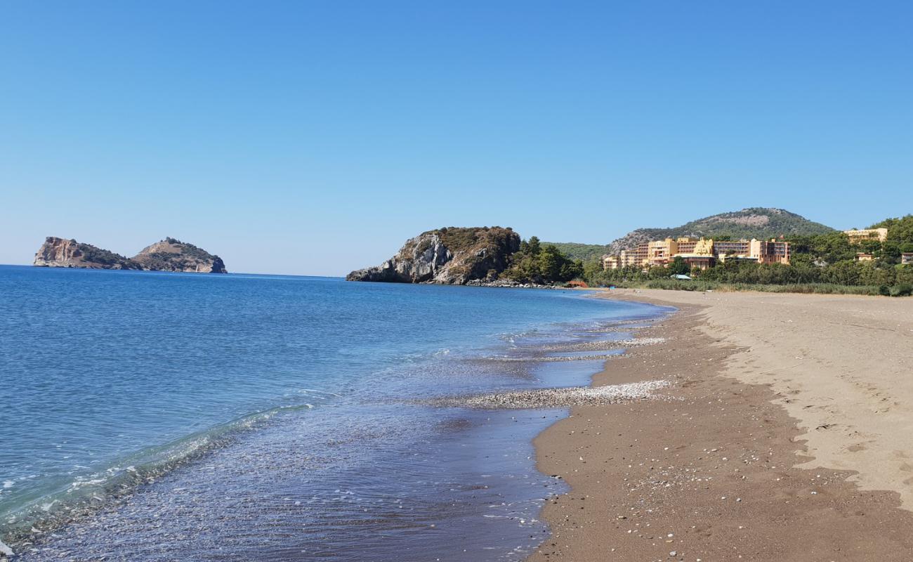 Photo de Family Life beach avec sable brun de surface